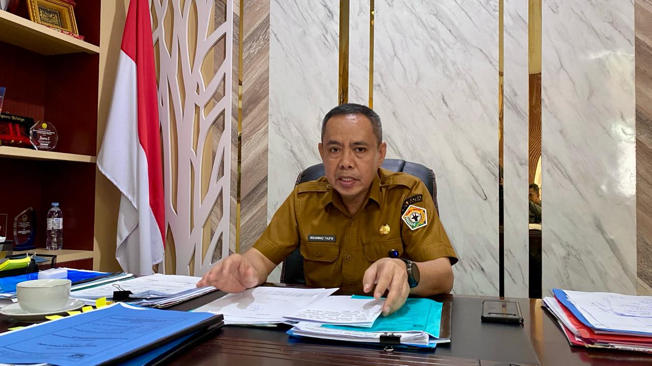 Peternak Lokal Sultra Panen Rezeki dari Sapi Kurban Presiden, Harga Tertinggi Tembus Rp123 Juta