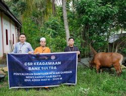 Bank Sultra Salurkan 23 Ekor Sapi Kurban untuk Masyarakat di 17 Kabupaten dan Kota