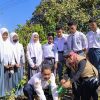 Tanam Bibit Baru, AMI Libatkan Pelajar dan Warga Jaga Kelestarian Jeruk Siompu