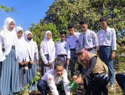 Tanam Bibit Baru, AMI Libatkan Pelajar dan Warga Jaga Kelestarian Jeruk Siompu