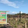 Warga Laporkan Dugaan Perusakan Kawasan Hutan di Konkep, Dishut Sultra Lakukan Inventarisasi