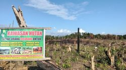 Warga Laporkan Dugaan Perusakan Kawasan Hutan di Konkep, Dishut Sultra Lakukan Inventarisasi