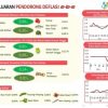 Juli 2026, Sultra Catat Deflasi Pertama Sejak November 2025