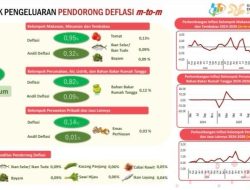 Juli 2026, Sultra Catat Deflasi Pertama Sejak November 2025